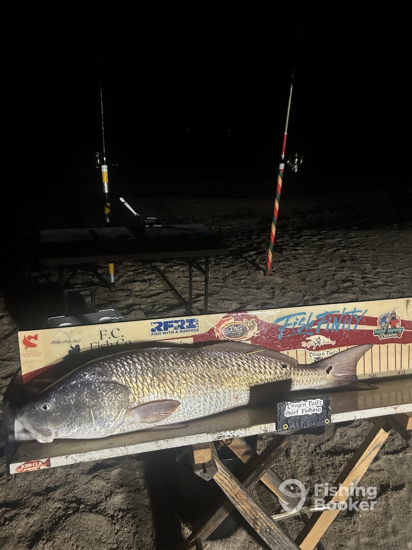 Louisiana Report Photo 0