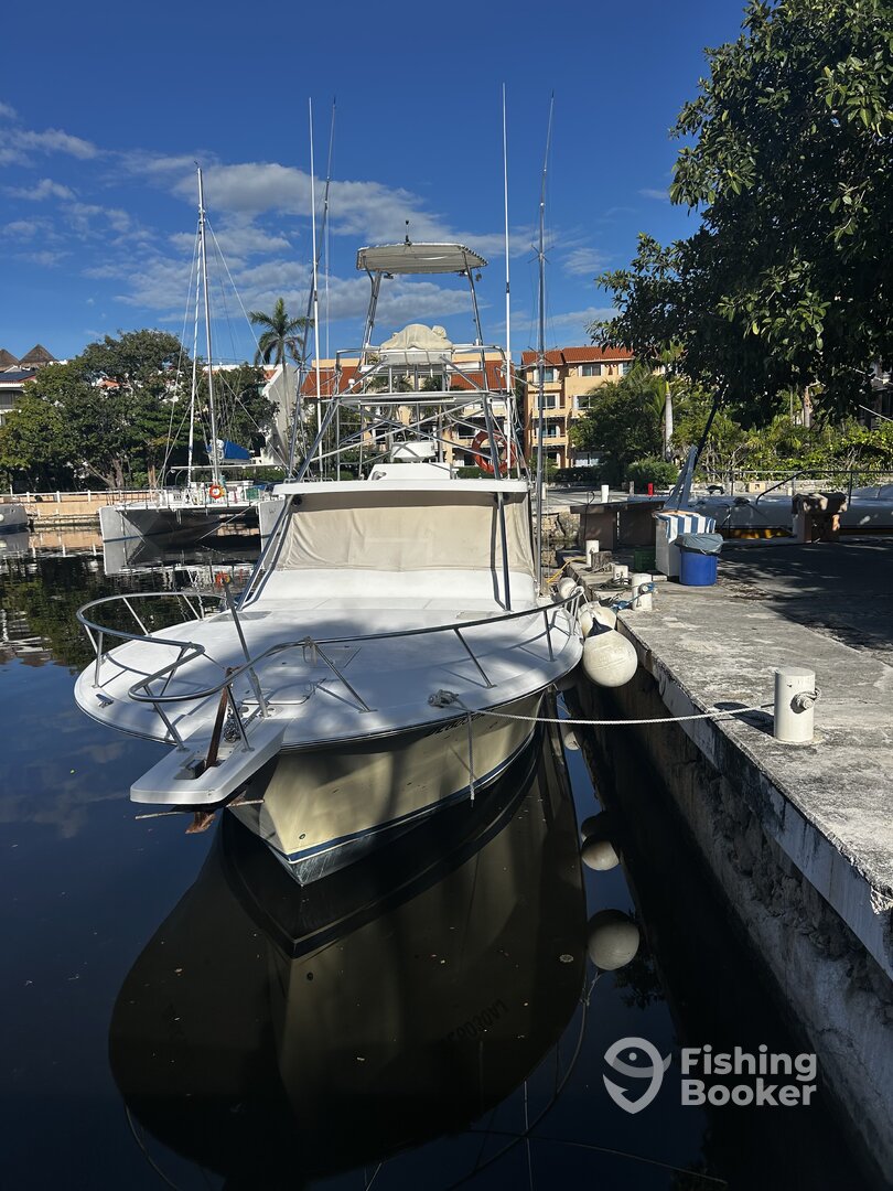 Puerto Aventuras Report Photo 0