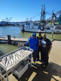 Texas City Report Photo 1