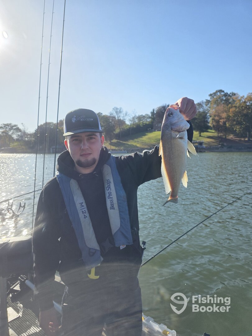 Harrison Report Photo 0