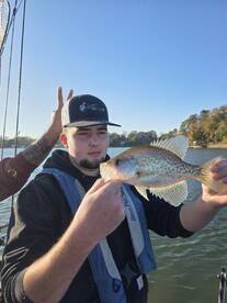 Harrison Report Photo 2