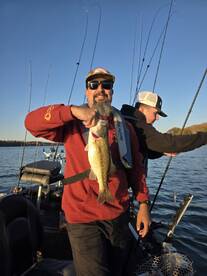 Harrison Report Photo 1