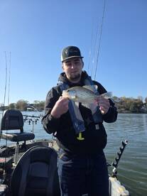 Harrison Report Photo 1