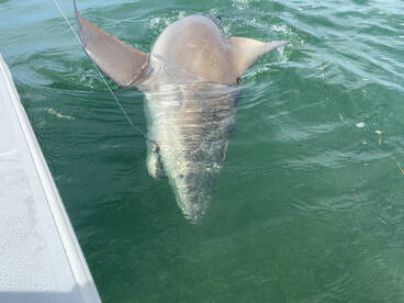 Stock Island Report Photo 3