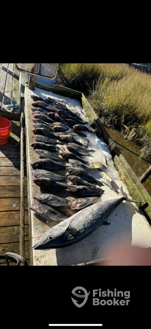 Holden Beach Report Photo 0