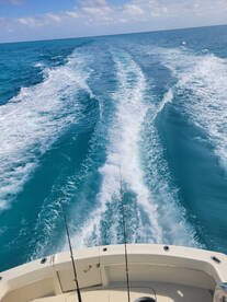 Islamorada Report Photo 1