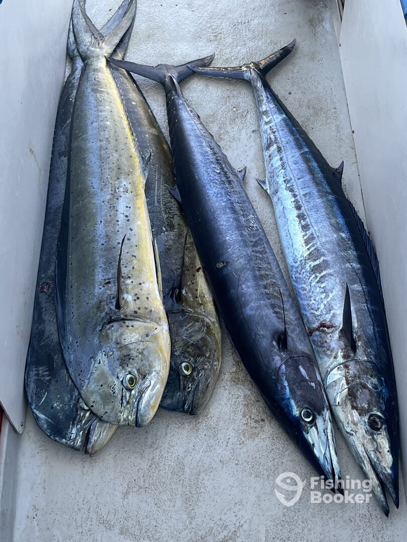 Kenya Report Photo 0