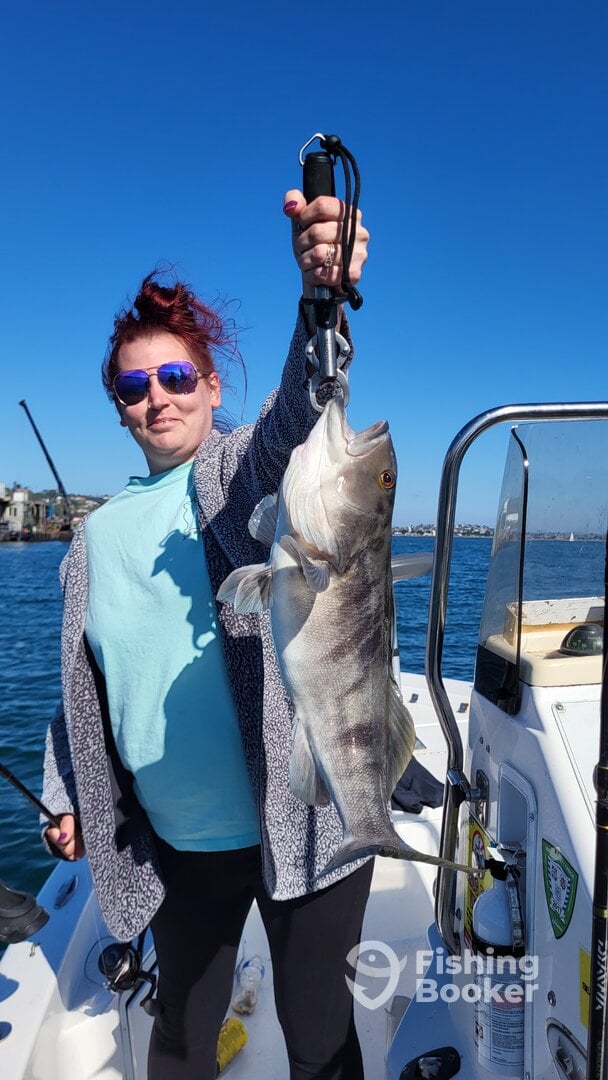 Pacific Coast Report Photo 0