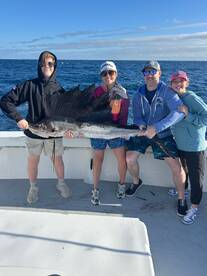 Dania Beach Report Photo 1