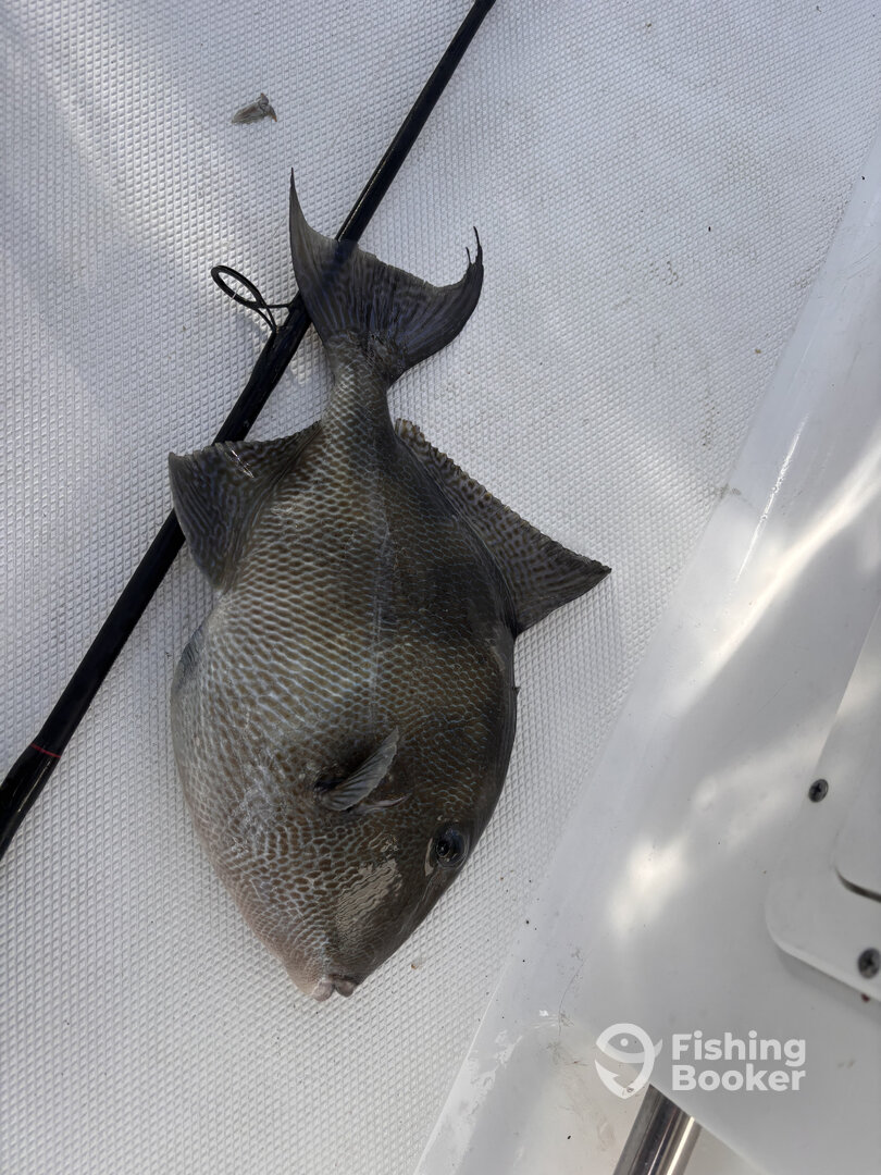 Florida Bay Report Photo 0