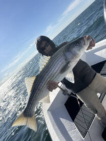 Great bite this morning