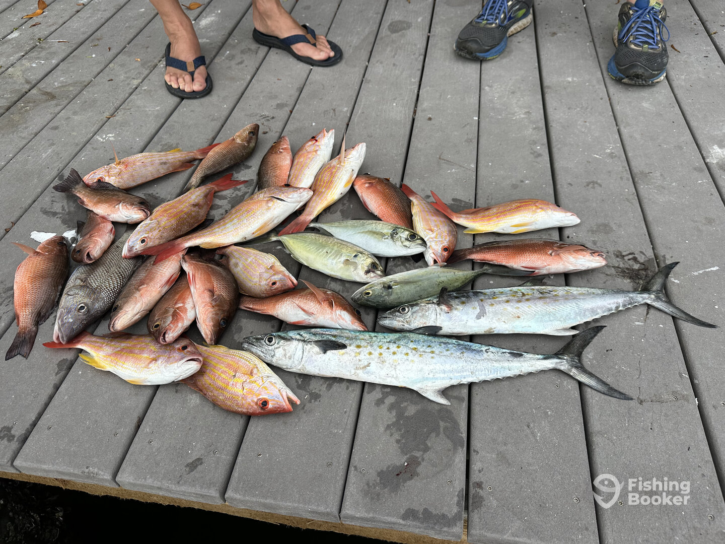 Nokomis Report Photo 0