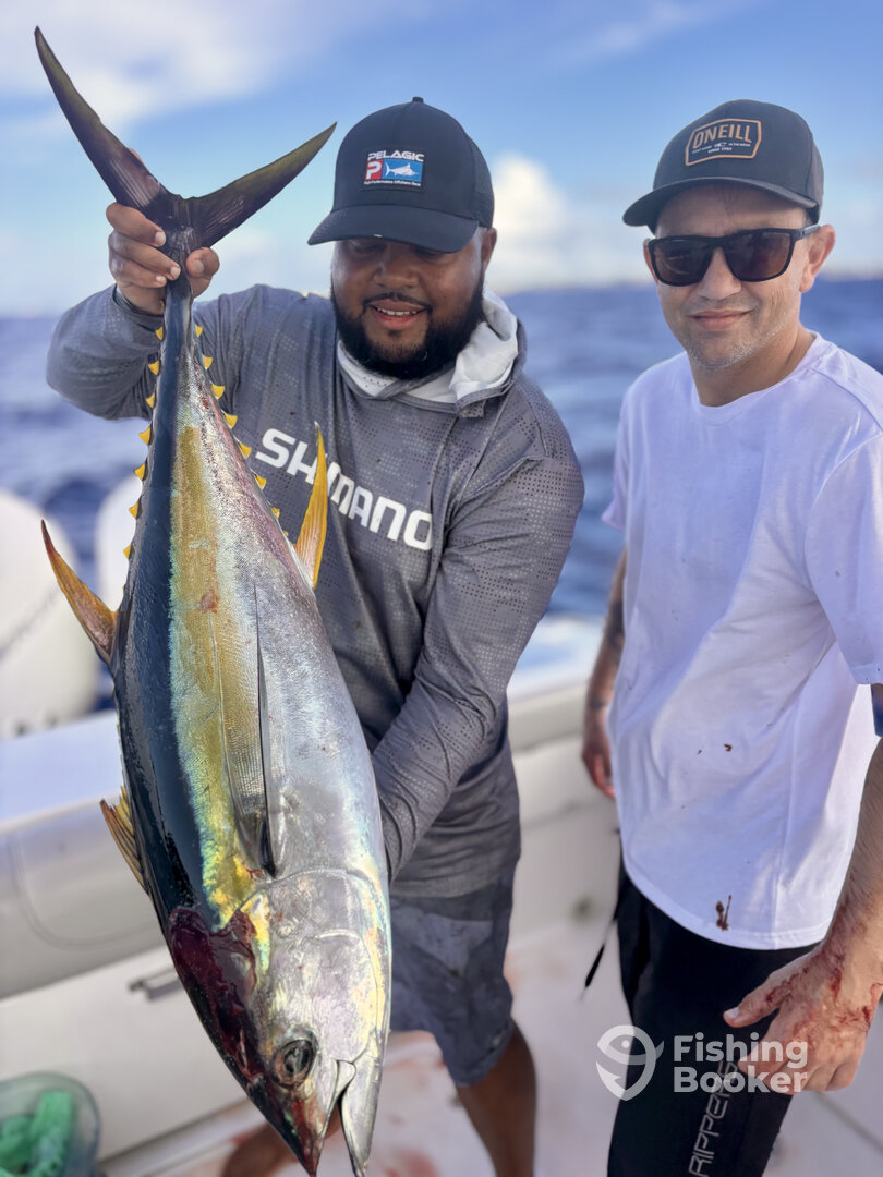 George Town Report Photo 0