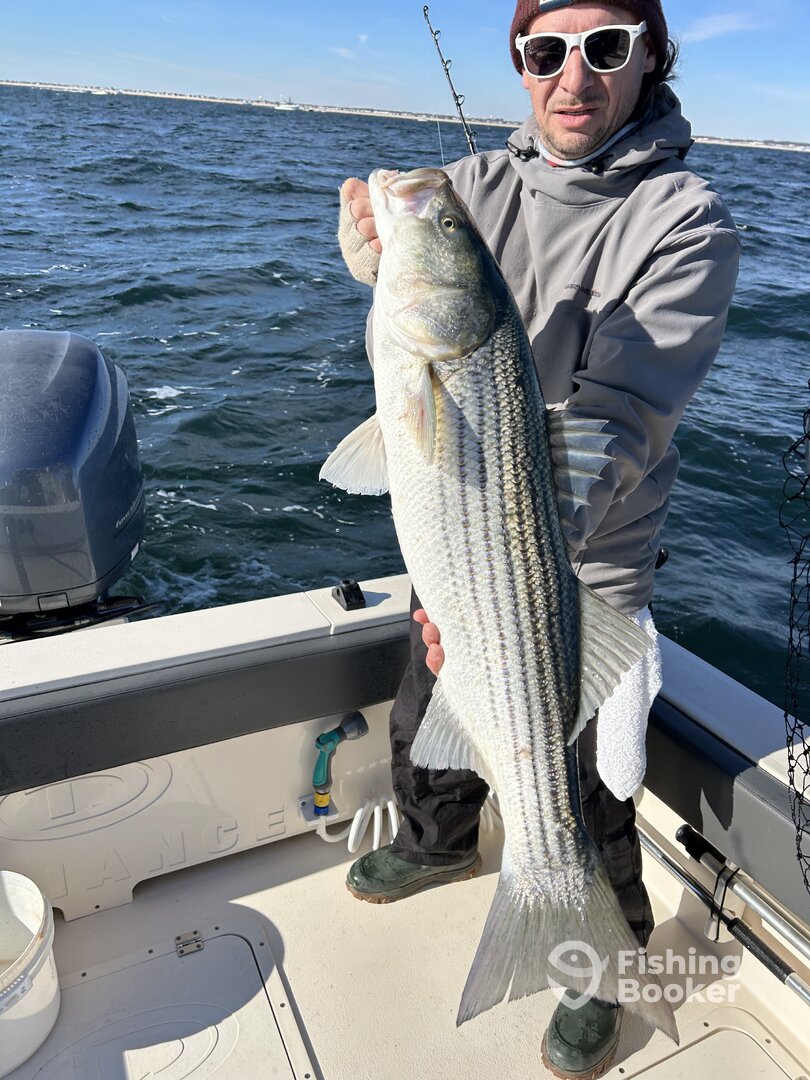 Barnegat Bay Report Photo 0