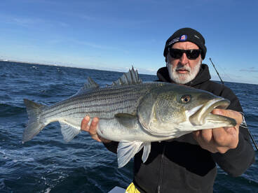 Barnegat Bay Report Photo 2