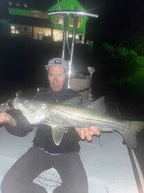 Coquina Key Report Photo 4