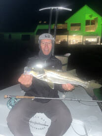 St. Petersburg Report Photo 2