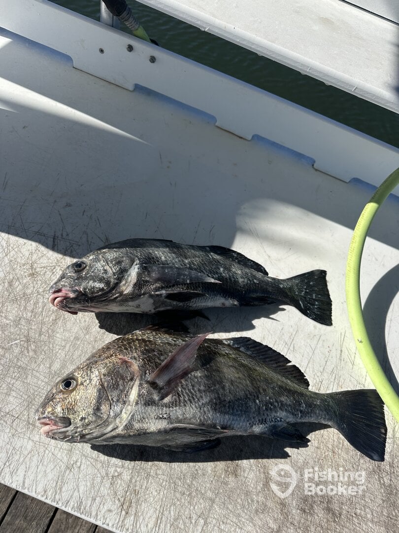 Hilton Head Island Report Photo 0