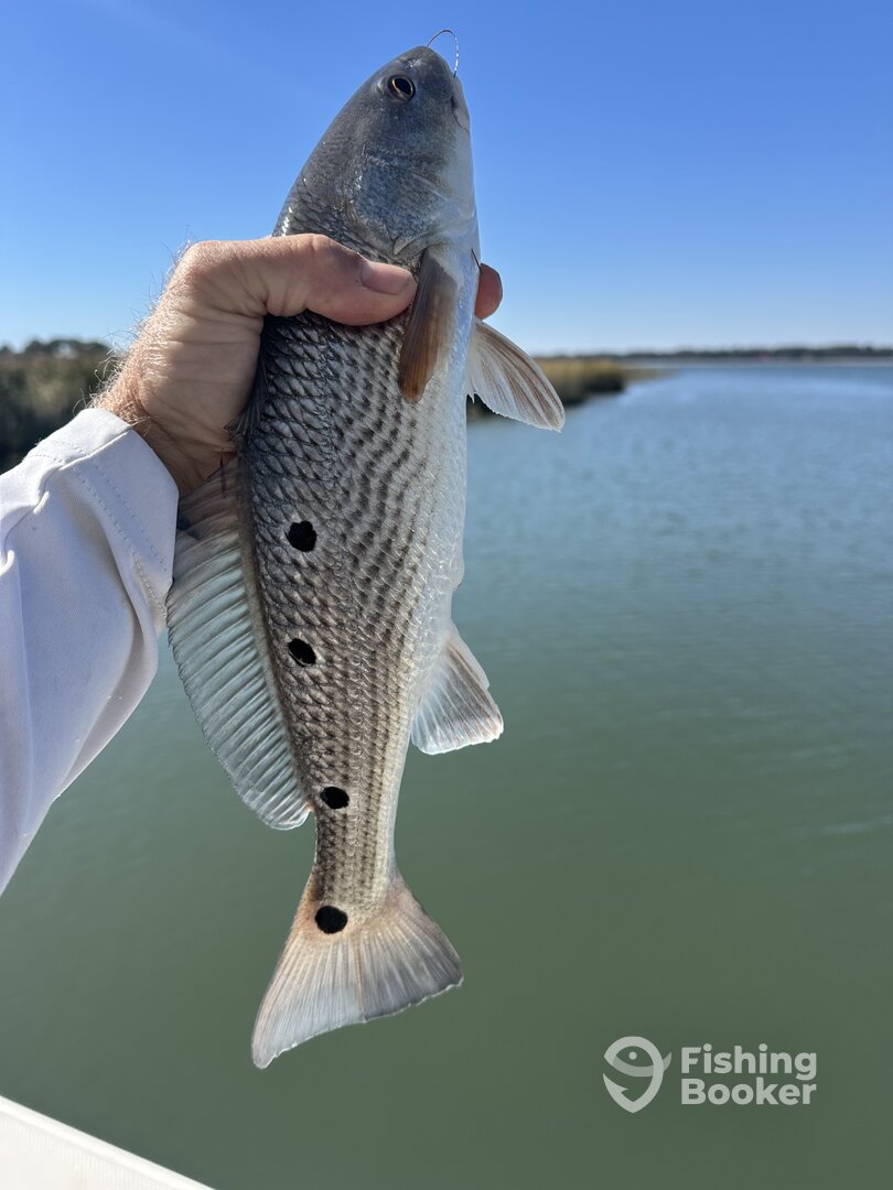 South Carolina Report Photo 0