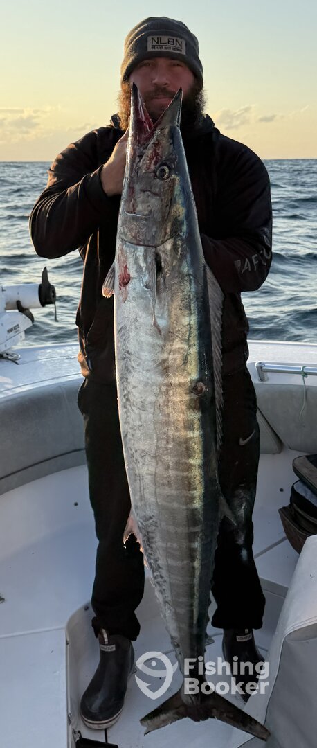 Port Orange Report Photo 0