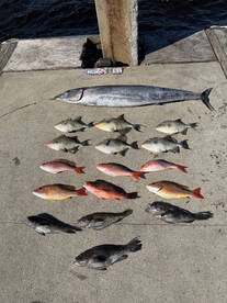 Mosquito Lagoon Report Photo 1