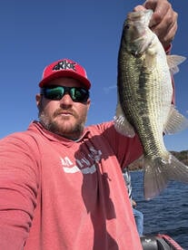 Branson Report Photo 1