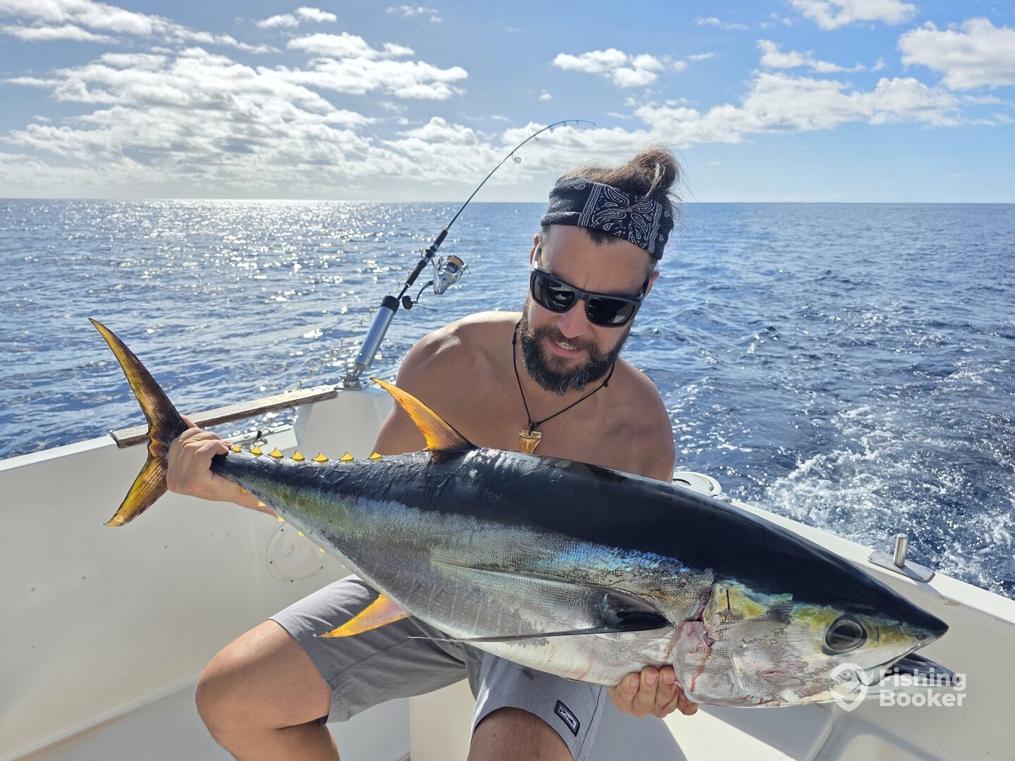 Funchal Report Photo 0