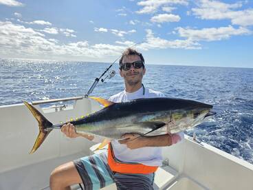 Funchal Report Photo 2