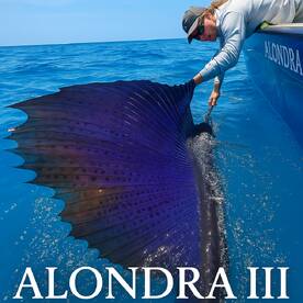 Playa Del Carmen Report Photo 2