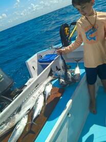 Playa Del Carmen Report Photo 1