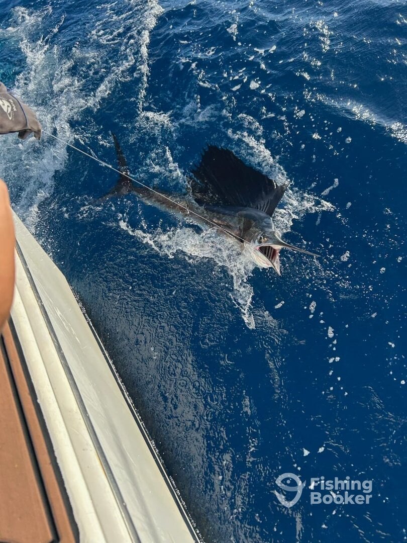 Key West Report Photo 0