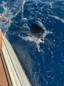 Great day today on the Ohana!