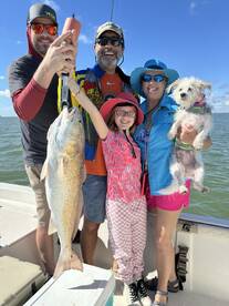 Family, fun, calm, bay plenty of fish, b