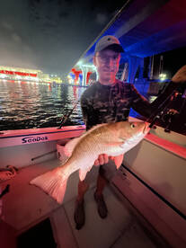 Coconut Grove Report Photo 4