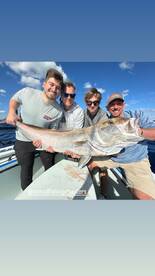 Big Fish in November