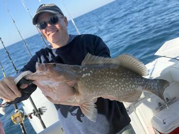 Belleair Bluffs Report Photo 1