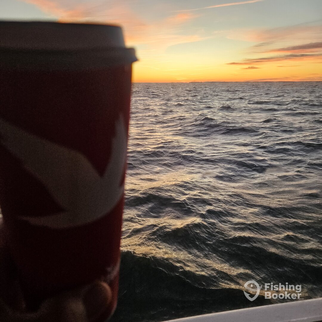 Chesapeake Beach Report Photo 0