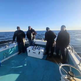 Chesapeake Beach Report Photo 2