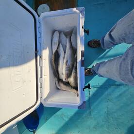 Chesapeake Beach Report Photo 1