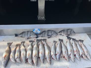 Great time of year to fish Charleston!