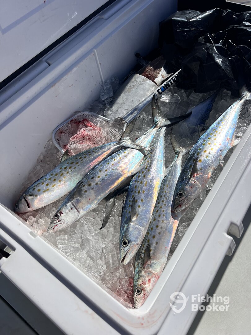 Florida Report Photo 0