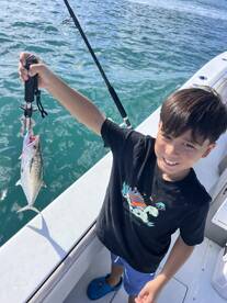 Florida Report Photo 1