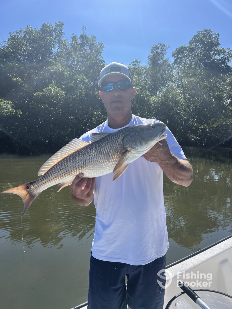 St. Petersburg Report Photo 0