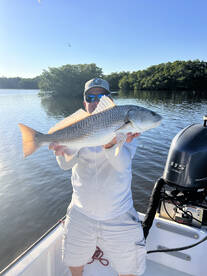 November Sunshine 2025