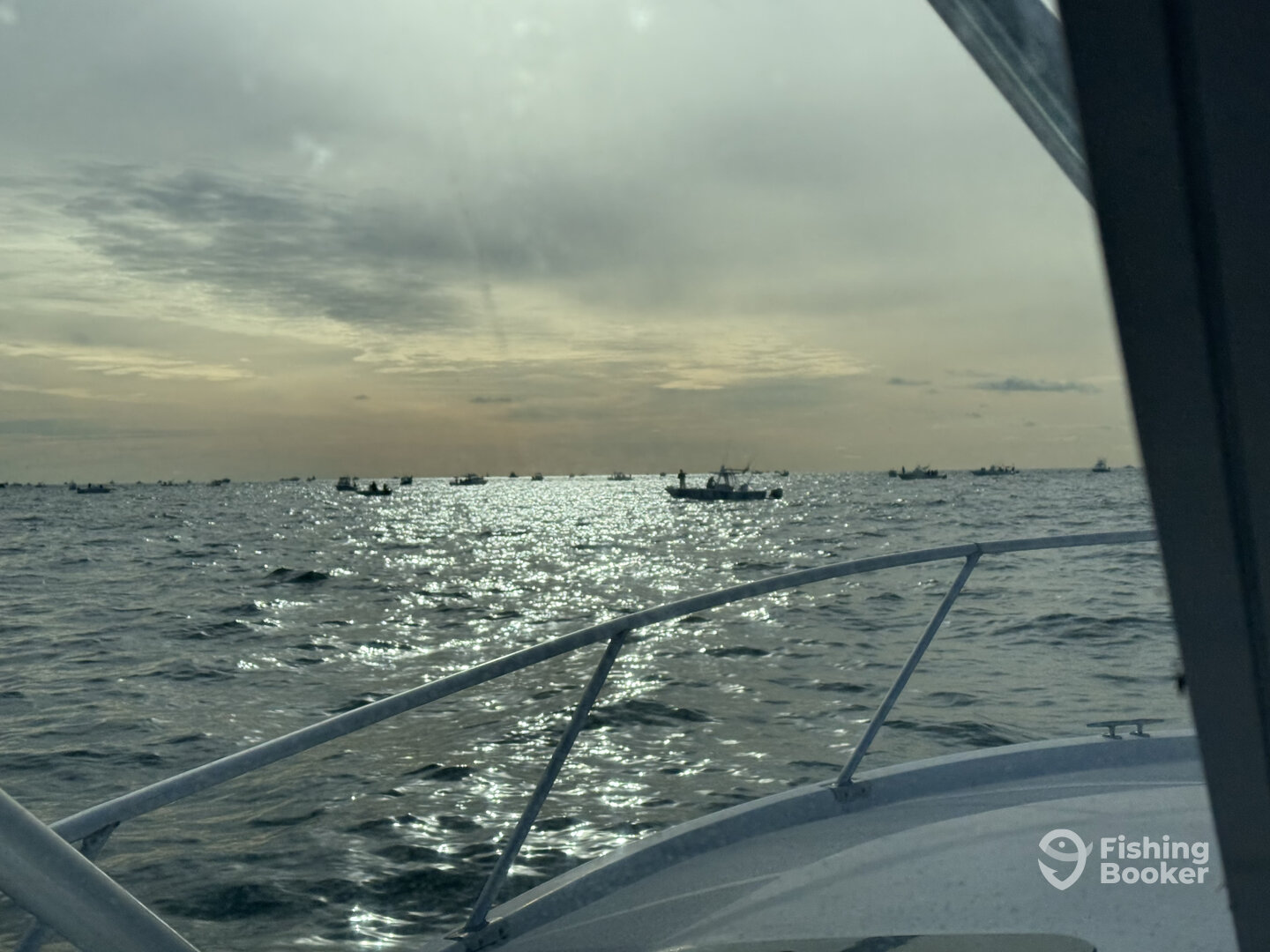 New York City Report Photo 0