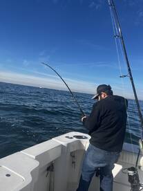 New York City Report Photo 1