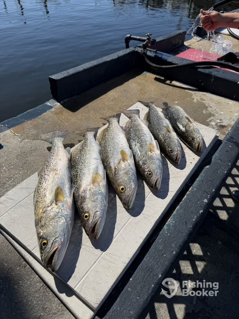 Pinellas County Report Photo 0