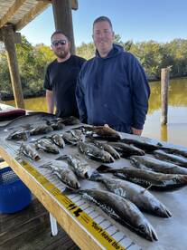 Short trip big results