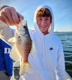 Another Nice LKW crappie 