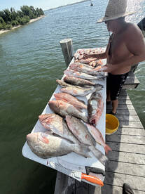 Manasota Key Report Photo 4